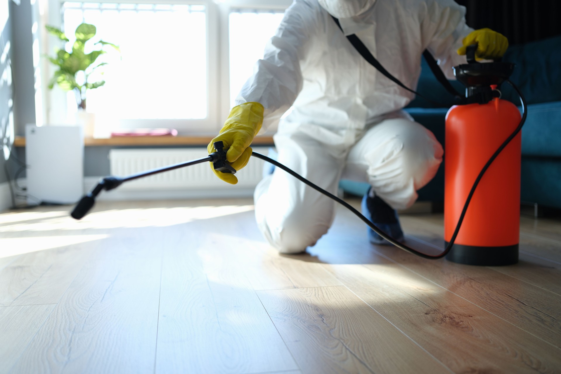 Technicien en dératisation intervenant dans un appartement à Paris